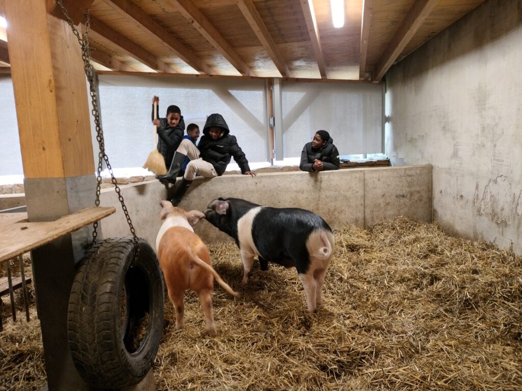 Les classes 7GIF1&7GIF2 à la ferme pédagogique au Marienthal