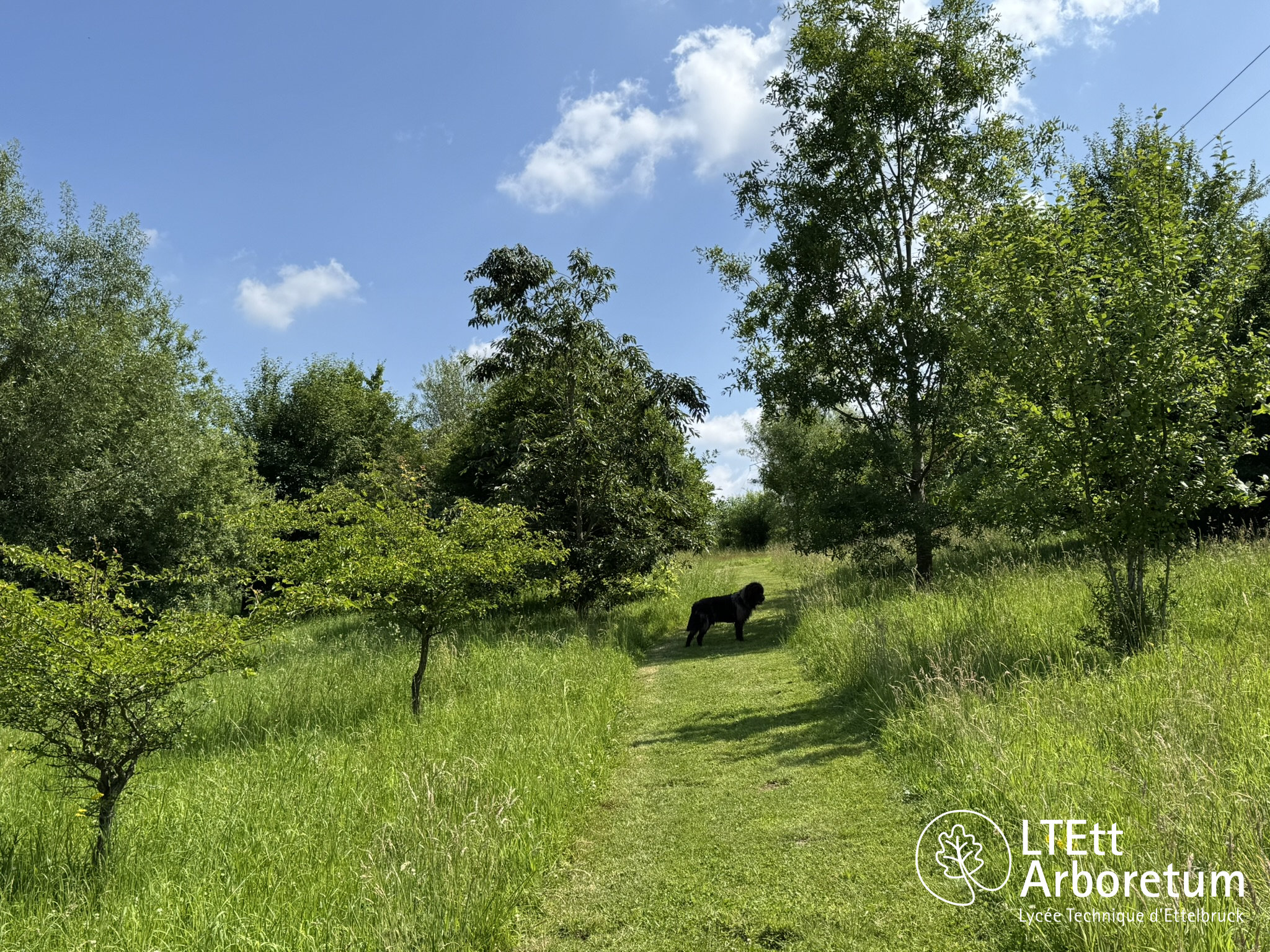 Arboretum Haart 250618 (1)_watermarked