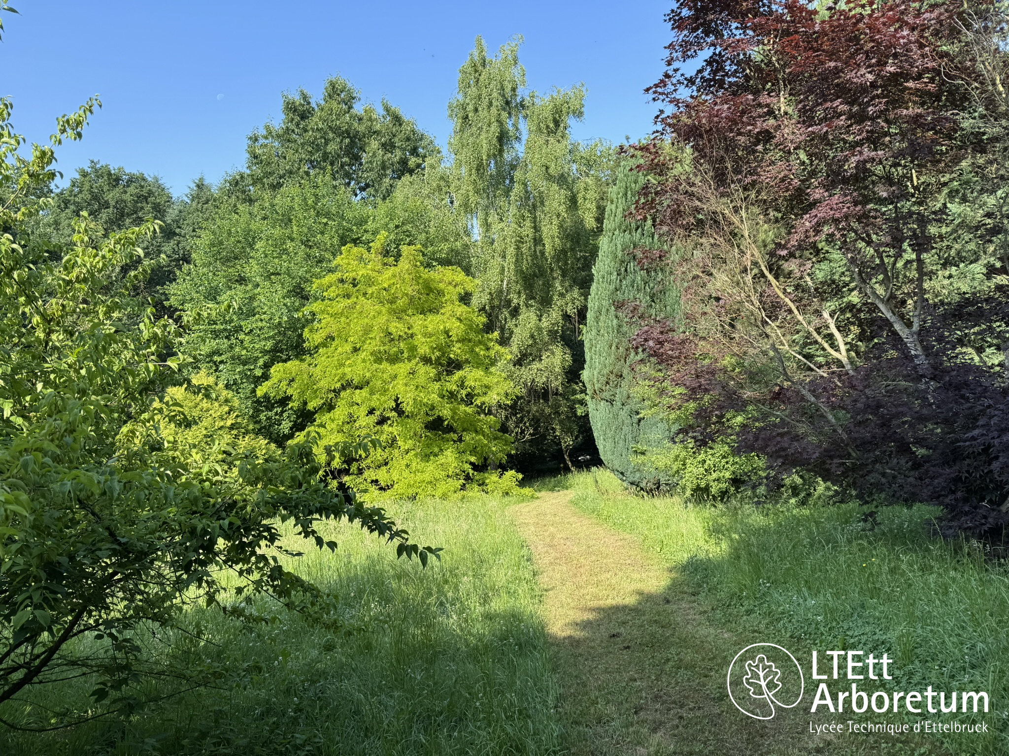 Arboretum Haart 250618 (2)_watermarked