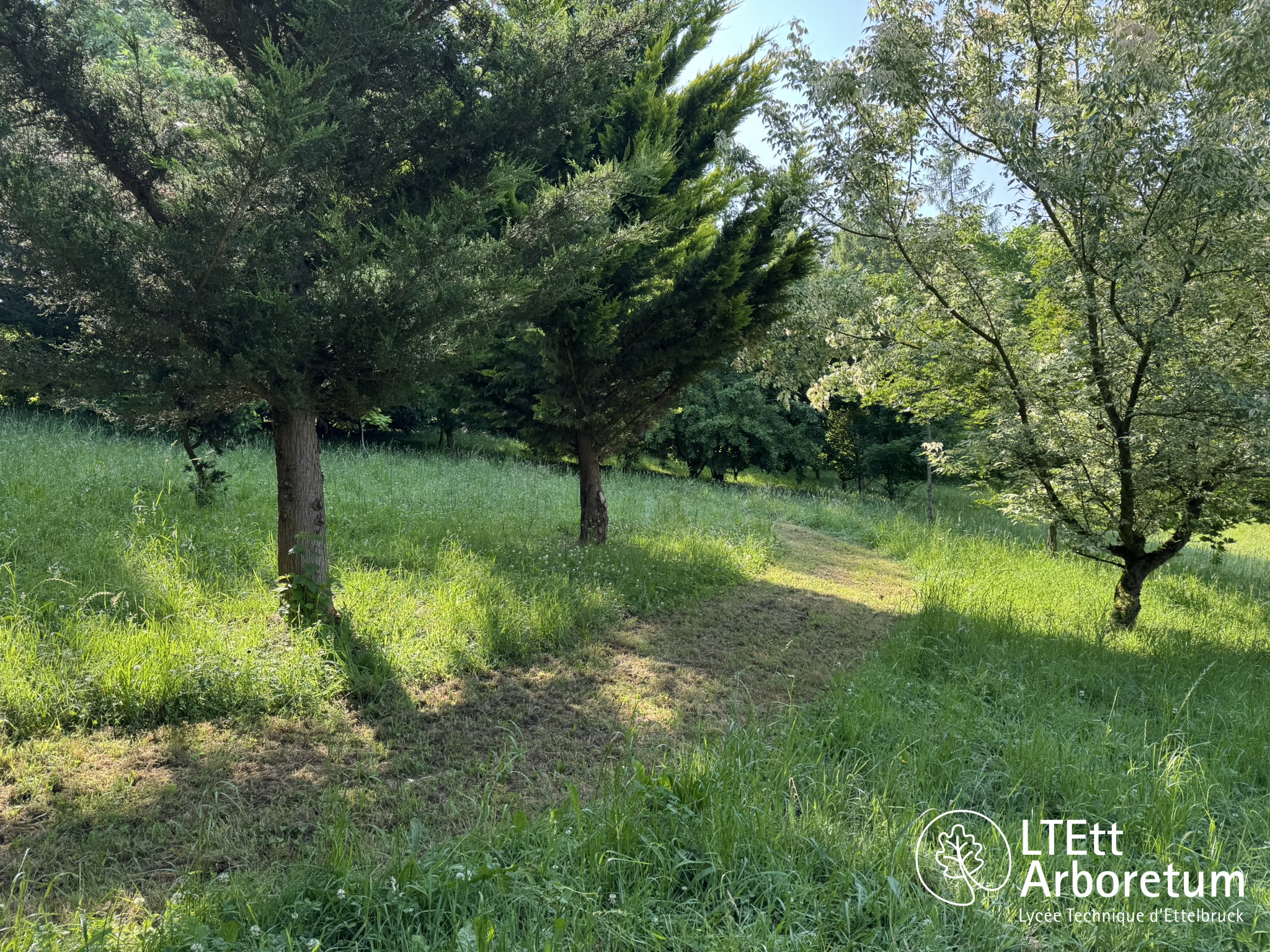 Arboretum Haart 250618 (3)_watermarked