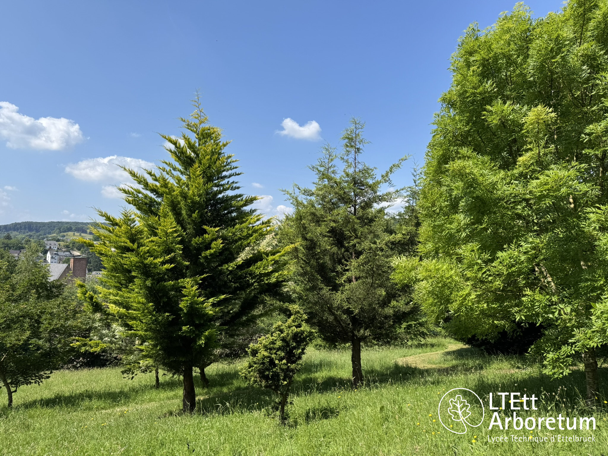 Arboretum Haart 250618 (4)_watermarked