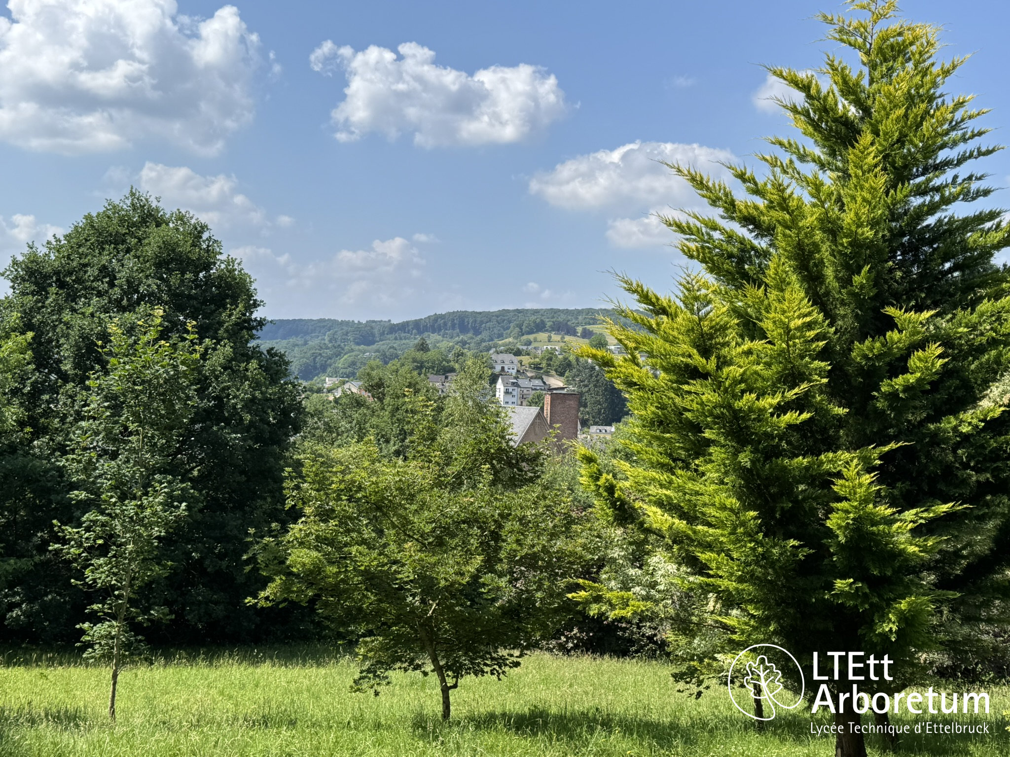 Arboretum Haart 250618 (5)_watermarked