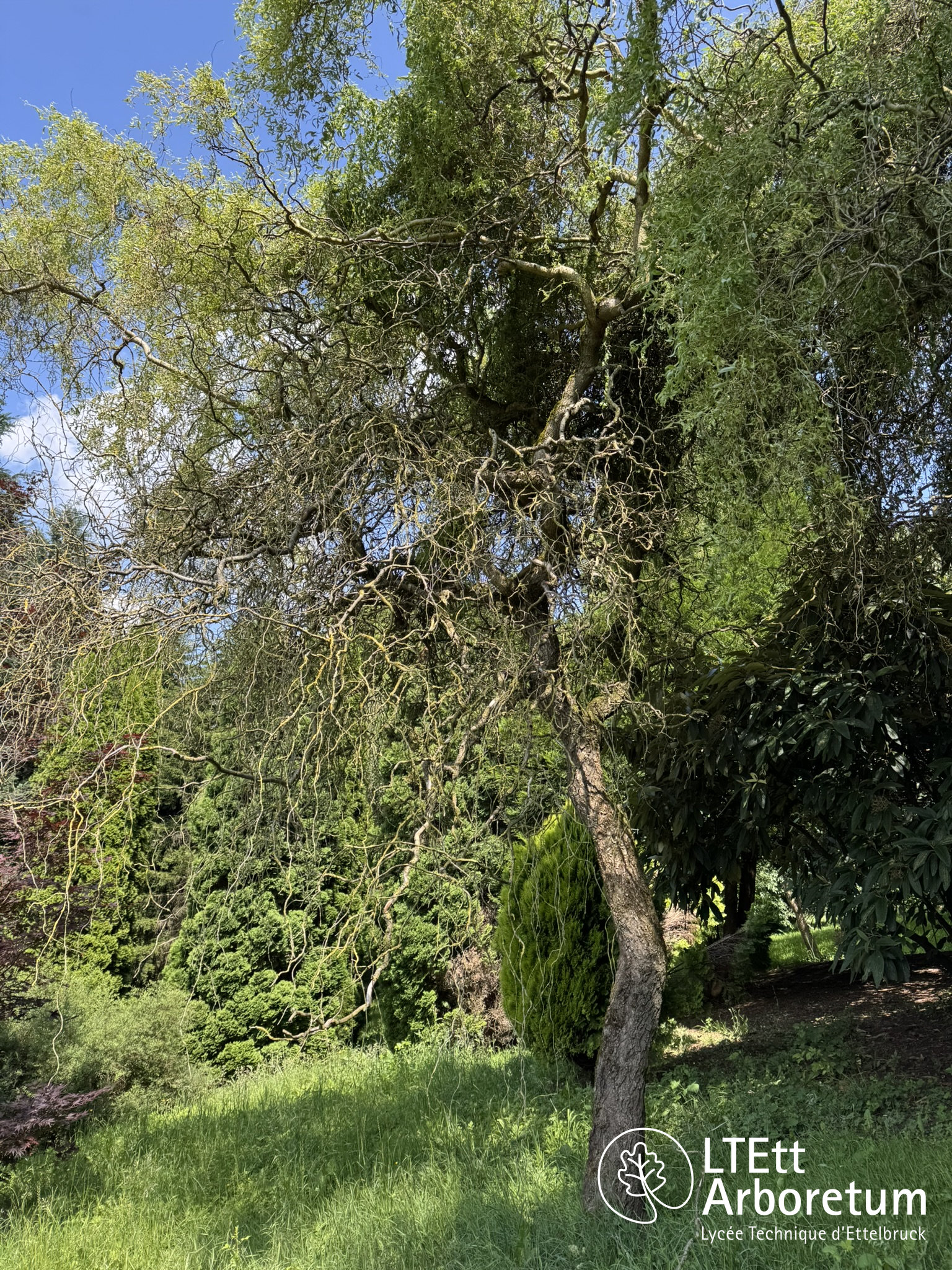 Arboretum Haart 250618 (7)_watermarked