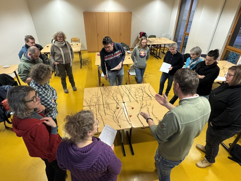 “Gehölzkundliche Eindrücke aus Nordmazedonien” & “Bestimmungsübungen – heimische Gehölze”